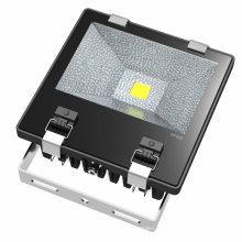 Lumière en aluminium de haute qualité de logement de Bridgelux IP65 70W LED